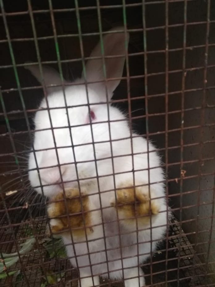 37756846_1467948046681874_5408761304942903296_n