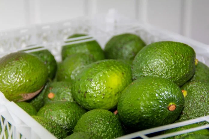 Palta hass