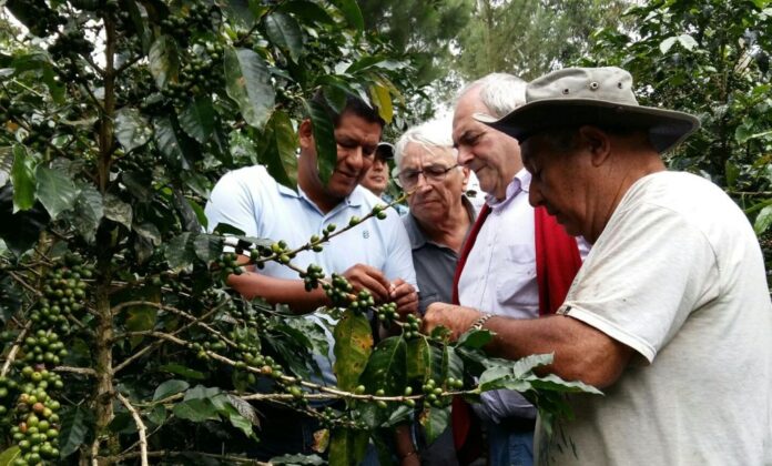 Cafe ADEX campo técnicos prensa