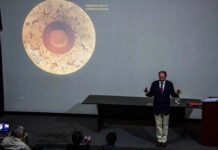 Ministerio de Cultura: Estudioso holandés disertará sobre el poder femenino en Chan Chan