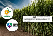 SMV impuso sanción de más de S/ 3 millones a azucarera Tumán por no presentar estados financieros