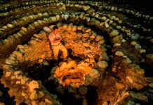 Descubren huellas del cacao más antiguo de la historia en la Amazonía de Perú