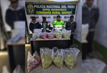 Shorey: PNP desarticula presunta red dedicada al transporte ilicito de explosivos
