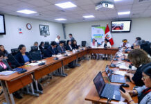 Comisión del Congreso aprueba apartar de instituciones a procesados por delitos sexuales a menores