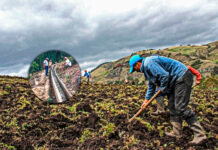 Santiago de Chuco: agricultores se beneficiarán con mejoramiento de canal de riego “Purpuro Viscachas”