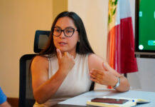 Consejera Lorena Carranza cuestiona imposición de plazos a trabajo de comisiones