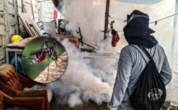 Ascope: detectan caso de dengue autóctono en el C.P. Chiclín