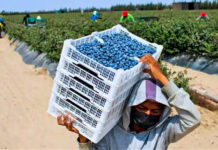 La Libertad exportó 1,602 millones de dólares en primer trimestre del 2026
