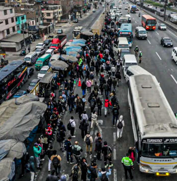 Tras anuncia de paro: Gobierno aprueba subsidio para transportistas del servicio público