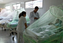 Geresa reporta 386 casos de dengue en La Libertad