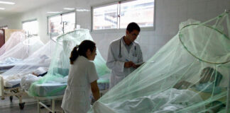 Geresa reporta 386 casos de dengue en La Libertad