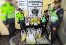 Huamachuco: PNP incauta más de 2 mil explosivos en el sector La Florida
