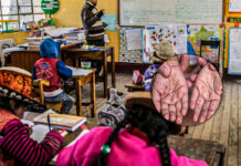 RIS Sánchez Carrión: reportan 14 casos del virus Coxsackie en colegio de Huamachuco