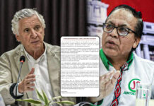Canciller rechaza denuncia constitucional presentada por Juntos por el Perú