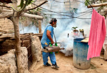 Realizan fumigación en 245 viviendas para prevenir el dengue en Paiján