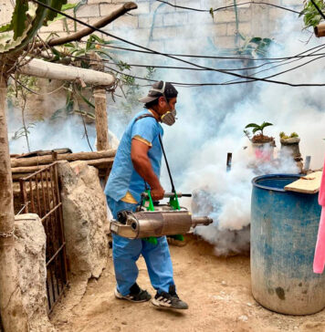 Realizan fumigación en 245 viviendas para prevenir el dengue en Paiján