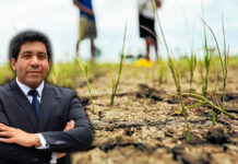Especialista de la UCV advierte que el calentamiento global pone en riesgo la seguridad alimentaria del Perú