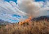 Otuzco: incendio forestal destruye 30 hectáreas de vegetación en distrito de Salpo