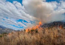 Otuzco: incendio forestal destruye 30 hectáreas de vegetación en distrito de Salpo