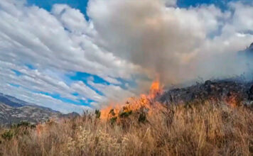 Otuzco: incendio forestal destruye 30 hectáreas de vegetación en distrito de Salpo