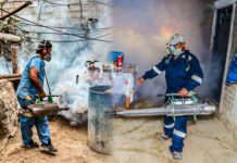 Dengue: piden que municipalidades multen a quienes impiden fumigar sus casas