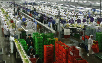 Revelan que el 40.8% de los trabajadores de Trujillo está en estado de vulnerabilidad