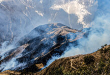 Sitabamba: incendio forestal consume 32 hectáreas de cultivos y vegetación