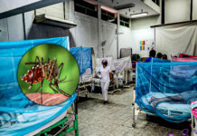 La Libertad: dengue deja dos víctimas mortales en Virú y Ascope