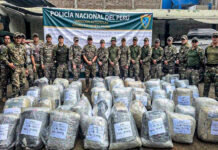 Sánchez Carrión: más de 100 mil plantones de marihuana fueron erradicados en Cochorco y Chugay