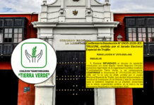 Coalición Transformadora Tierra Verde: JNE confirma improcedencia de lista para el Gore La Libertad
