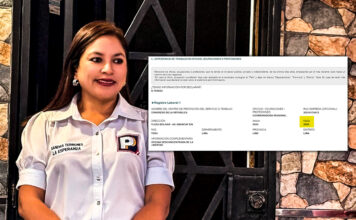 Candidata Sandra Terrones no declara lugar de trabajo ni ocupación durante el 2026