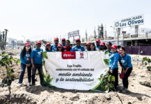 Caja Trujillo impulsa jornada de arborización para recuperar espacios públicos en Los Olivos