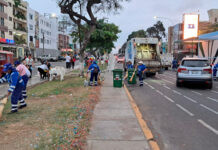 SEGAT erradicó 30 toneladas de residuos tras el corso primaveral