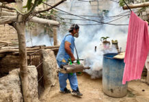 Inician campaña de fumigación en Paiján para frenar el avance del dengue