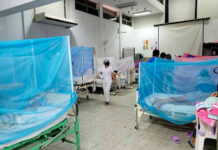 Revelan 37 casos graves de dengue a nivel del distrito de Trujillo