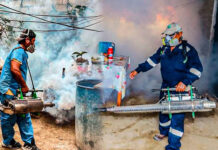 Gerencia de Salud insta a medios de comunicación y empresarios a sumarse en la lucha contra el dengue