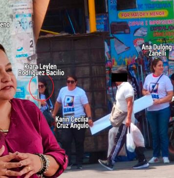 Funcionaria de la gerencia de Trabajo justifica que locadores hagan campaña por Elías Rodríguez