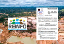 Reinfo hasta 2028: congresistas promueven ampliar la vigencia del registro minero