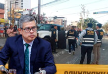 Galarreta admite que el Gobierno puede combatir la criminalidad sin facultades legislativas