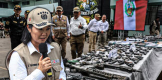 Diputado Quezada: “La presidenta ya está tomando acciones para enfrentar la inseguridad ciudadana”